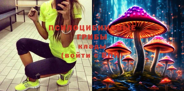 MESCALINE Коряжма